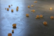 Les oeufs 2010 - Magali Babin
